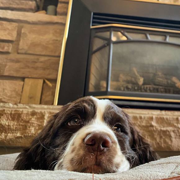 Meet your Posher, Markedgley - Picture 1 of 1